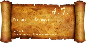 Antoni Tímea névjegykártya